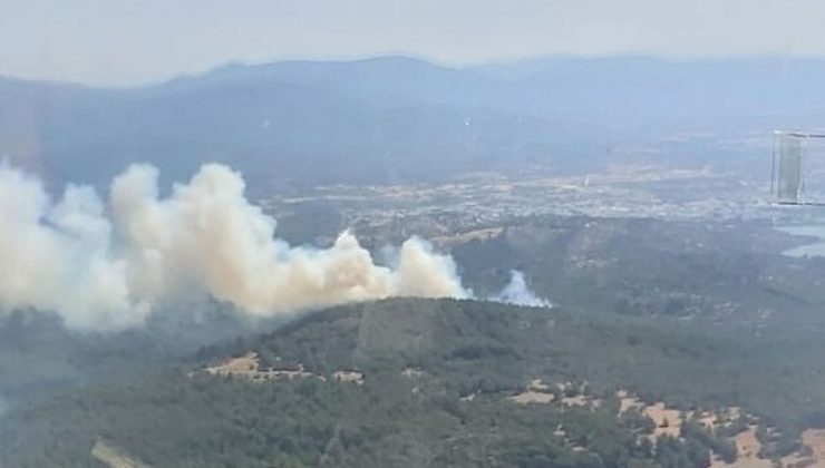 Bodrum’da ormanlık alanda çıkan yangın söndürüldü