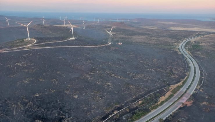 Çeşme yangınına ilişkin gözaltına alınan 2 kişi serbest