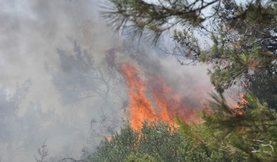 Datça’da orman yangını: Rüzgarında etkisiyle büyüyen alevlere müdahale sürüyor