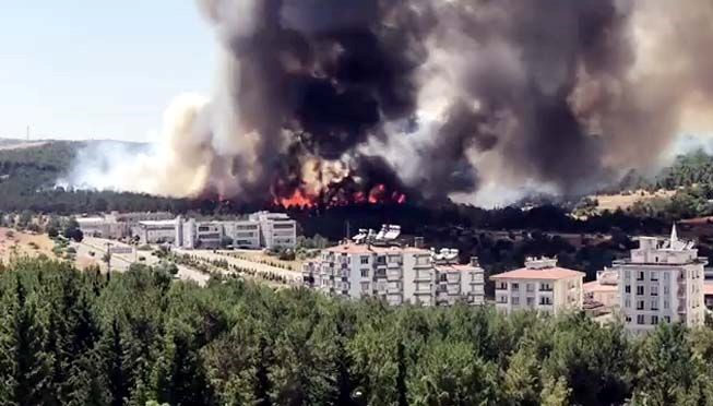 Gaziantep’te orman yangını