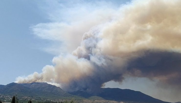 İspanya’da orman yangını: 2300 kişi tahliye edildi