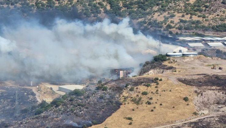 İzmir Bergama’da da orman yangını çıktı