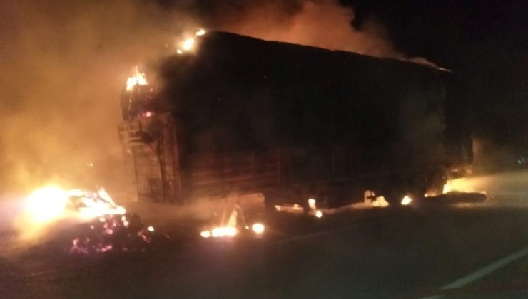 İzmir’de saman yüklü TIR’da yangın