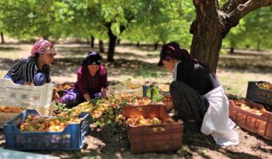 Malatya’da asgari ücretin altında işçi çalıştıranlara yasal işlem yapılacak