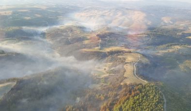 Manisa’da orman yangını: 2 gözaltı