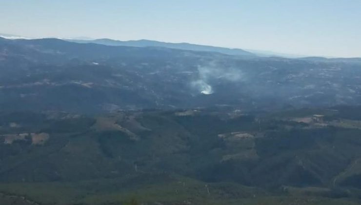 Manisa’da orman yangını