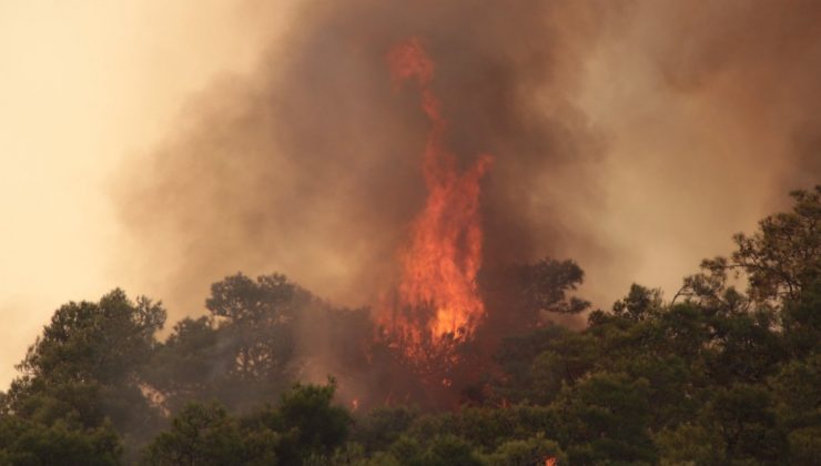 Meteoroloji’den Muğla’ya orman yangını uyarısı