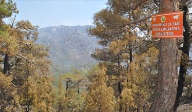 Muğla Valiliği uyardı: Üç gün boyunca yangın riski yüksek