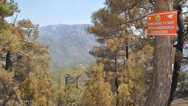 Muğla Valiliği uyardı: Üç gün boyunca yangın riski yüksek