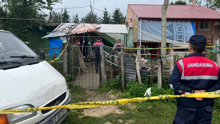 Ordu’da sobadan sızan gazdan zehirlenen yaşlı çift hayatını kaybetti