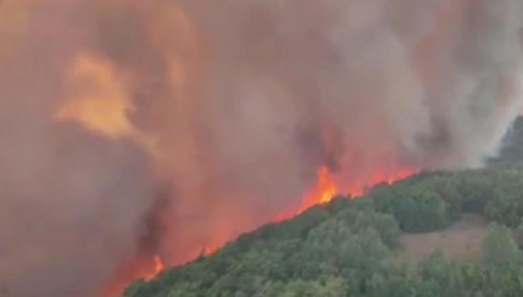 Slovenya’da orman yangını: 4 köy tahliye edildi