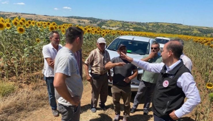 Trakya’da istilacı çayır tırtılını inceleme çalışmaları başladı