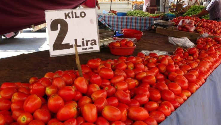 Adana’da domatesin kilosu 2 liraya düştü