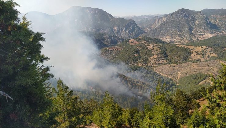 Adana’da orman yangını