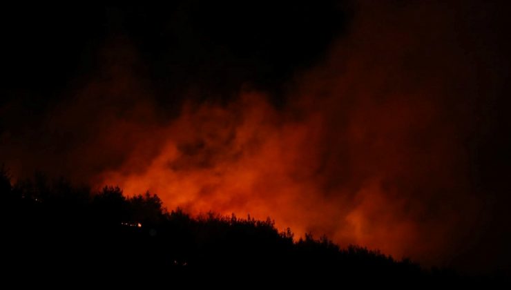 Adana’da orman yangını