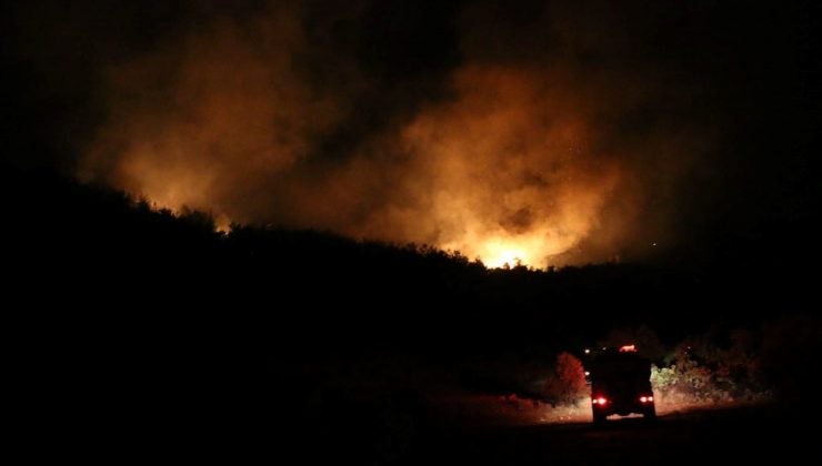 Adana’da orman yangını kontrol altında