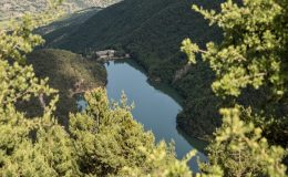 Amasya’da ormana giriş ve çıkışlar yasaklandı