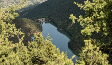 Amasya’da ormana giriş ve çıkışlar yasaklandı