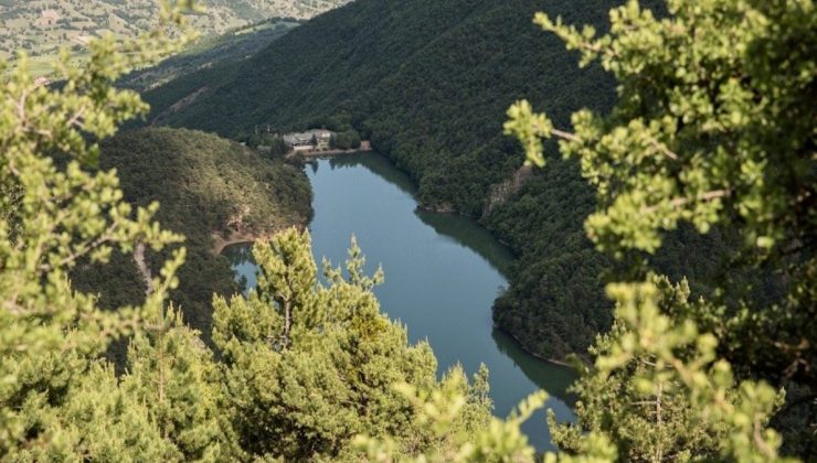 Amasya’da ormana giriş ve çıkışlar yasaklandı