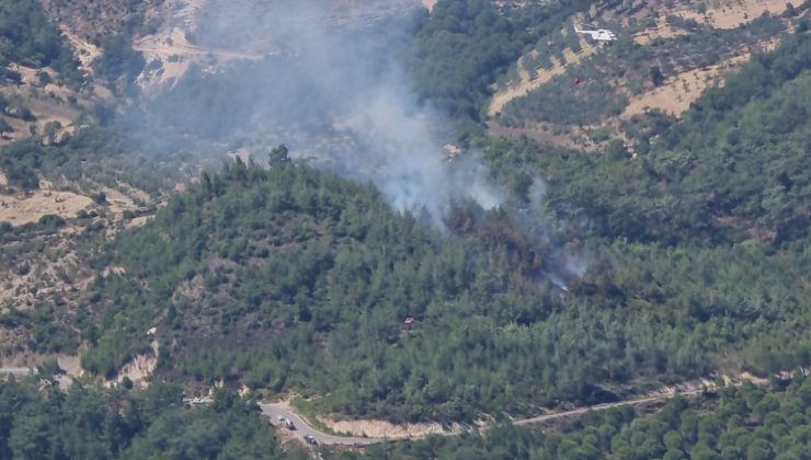 Balıkesir’de orman yangını