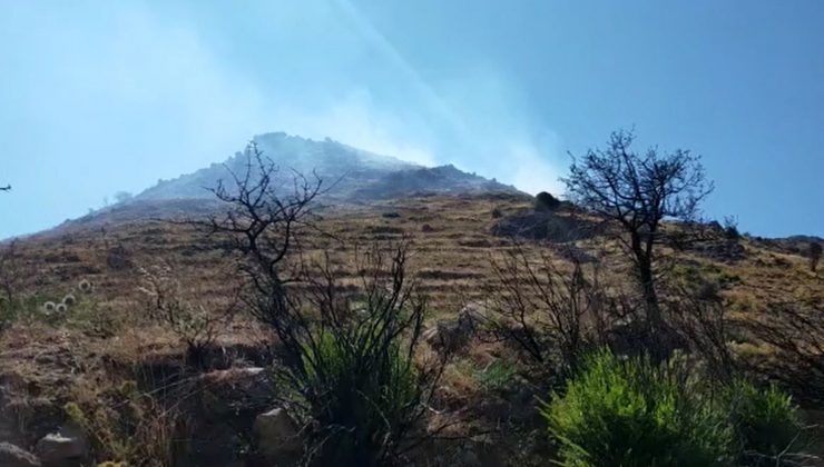 Bodrum’da 3 hektar alan kül oldu