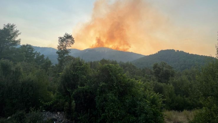 Burdur’da orman yangını