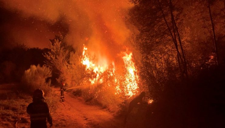 İtalya ve İspanya orman yangınlarıyla mücadele ediyor