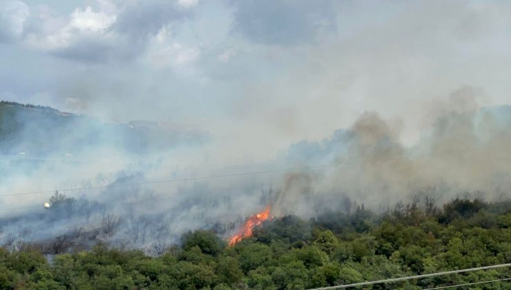 Kocaeli’de orman yangını