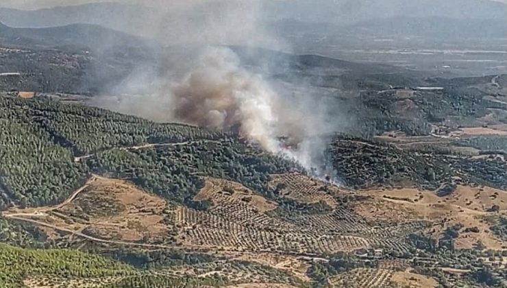 Manisa’da orman yangını çıktı