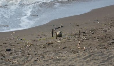 Ordu sahilinde Rus yapımı mayın tetikleyicisi imha edildi