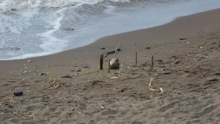 Ordu sahilinde Rus yapımı mayın tetikleyicisi imha edildi