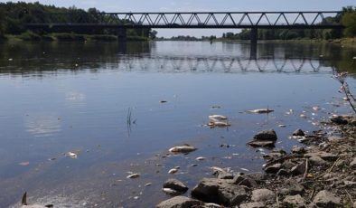 Polonya’nın Oder Nehri’nde ekolojik felaket! İyileşmesi yıllar alacak…