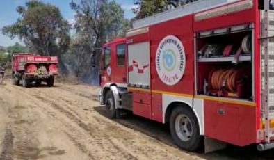 Tekirdağ’da anız yangını ormana sıçradı