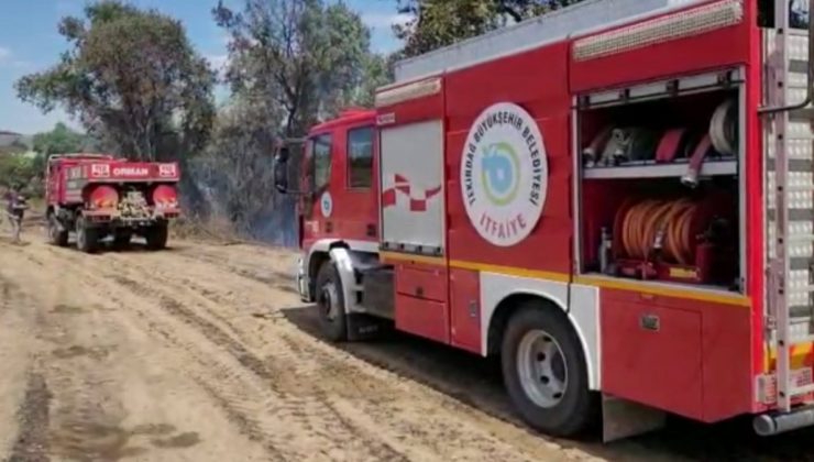 Tekirdağ’da anız yangını ormana sıçradı