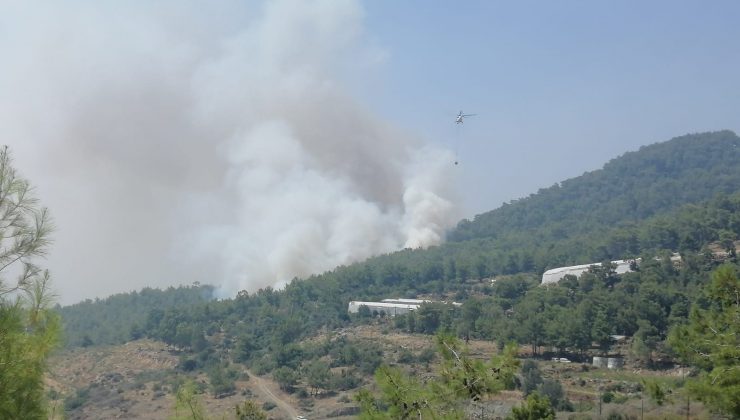 Üç ilde orman yangını