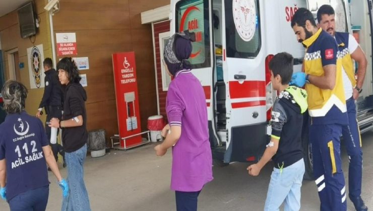 15 öğrenciyi arı soktu, okula 1 gün ara verildi