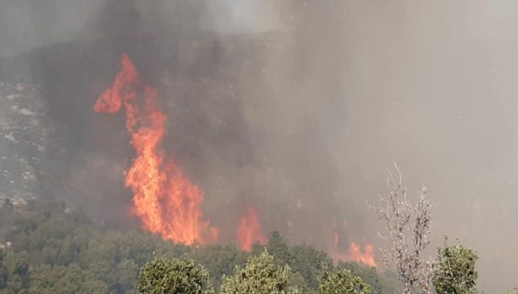 Antalya Kaş’ta makilik alanda yangın