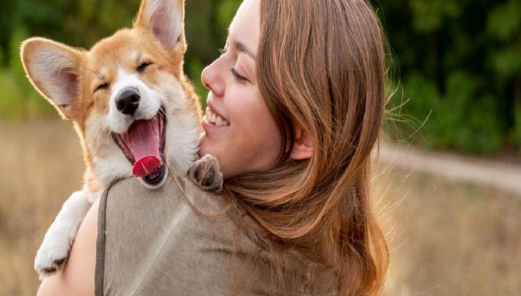 Araştırmaya göre, köpekler strese bağlı nefes değişikliklerini ve terlemeyi algılayabiliyor