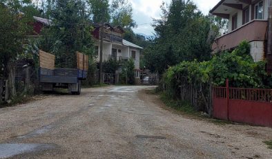 Bolu’daki zehirlenme vakaları başka köye de sıçradı şüphesi