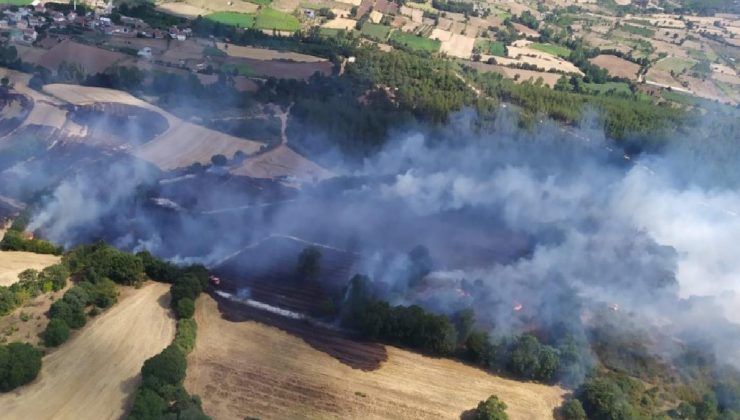 Çanakkale’de orman yangını çıktı