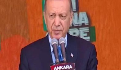 Cumhurbaşkanı Erdoğan: Sandık görününce gençleri hatırladılar