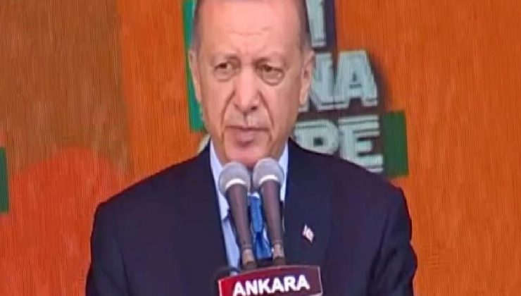 Cumhurbaşkanı Erdoğan: Sandık görününce gençleri hatırladılar