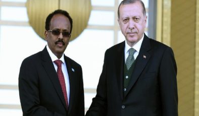 Cumhurbaşkanı Erdoğan, Somalili mevkidaşıyla görüştü