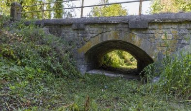 İngiltere’de Thames Nehri’nin kaynağı kuraklıktan etkilendi