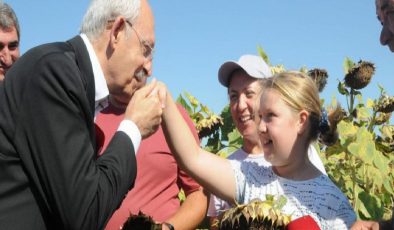 Kemal Kılıçdaroğlu: Ayçiçeği taban fiyatı ton başına 16 bin lira olmalı