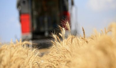 Küresel gıda fiyatları temmuzda geriledi