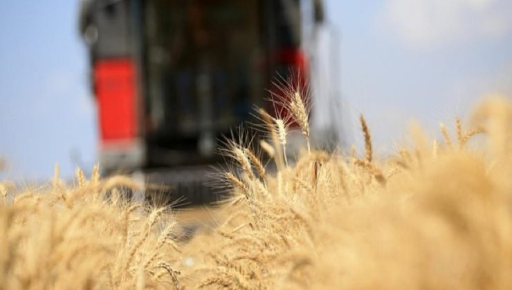 Küresel gıda fiyatları temmuzda geriledi