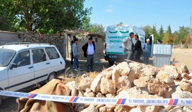 Yaşlı kadın köpek saldırısında öldü