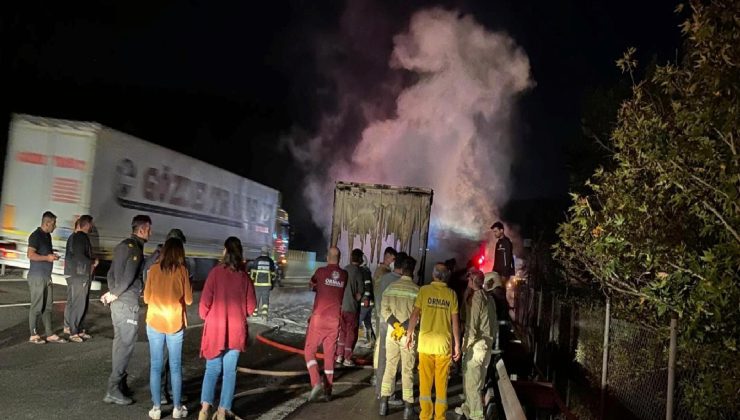 Adana’da yangın: TIR’da başladı, ormanlık alana sıçradı