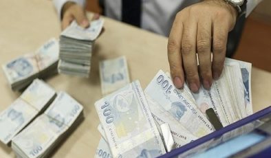 BES’in büyüklüğü 330 milyar lirayı aştı